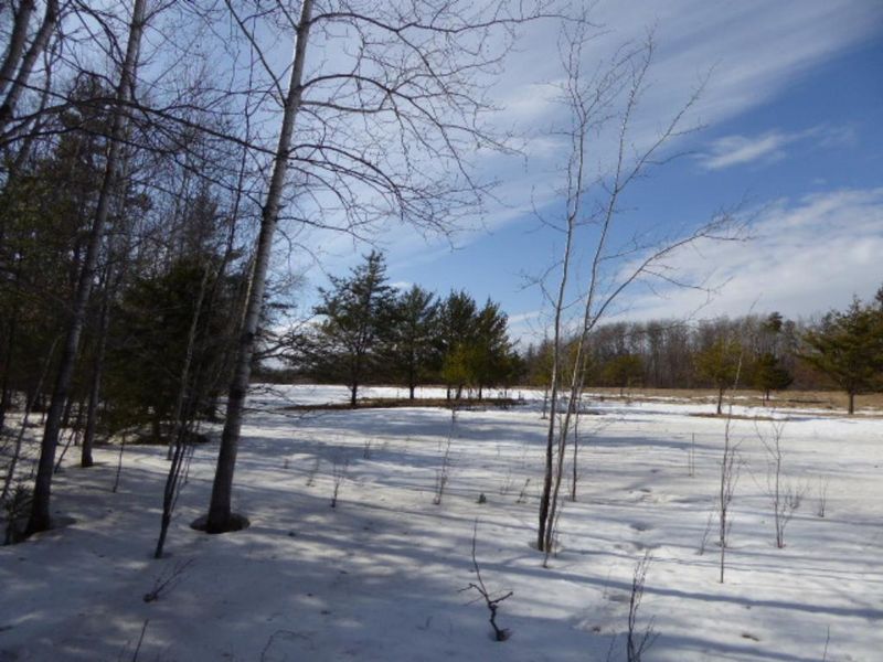 xxx State 87, Backus, MN 56435
