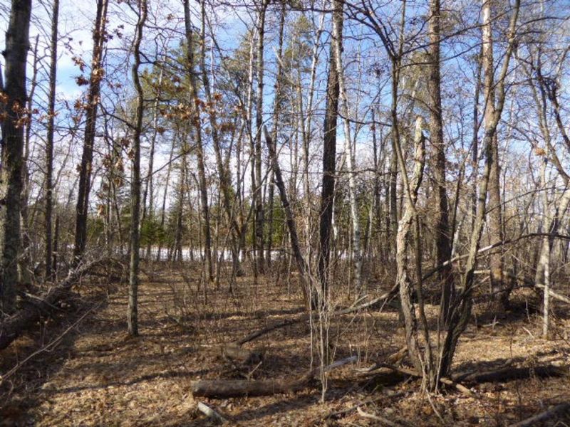 xxx State 87, Backus, MN 56435