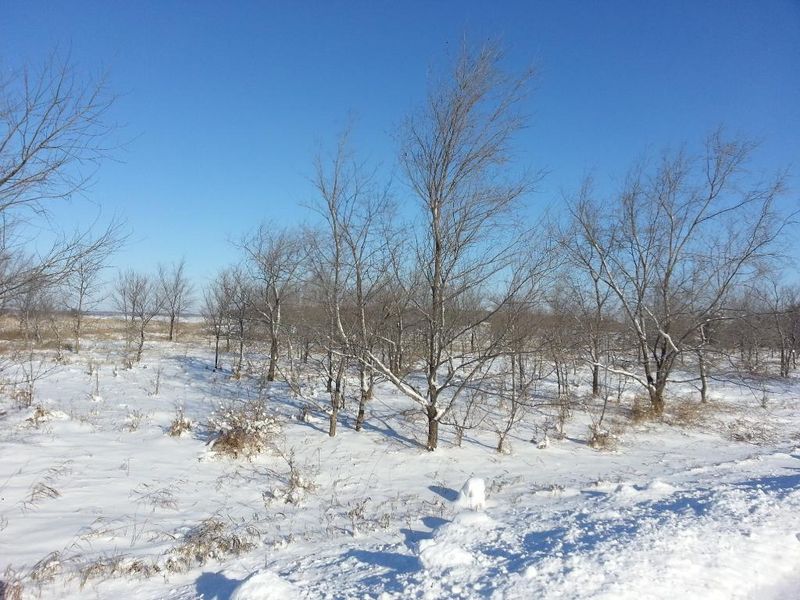 40964 Sauk Lake Rd, Sauk Centre, MN 56378