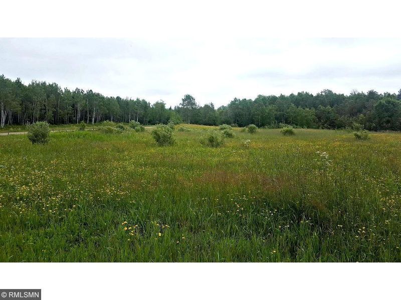 TBD County Road 40, Effie, MN 56639