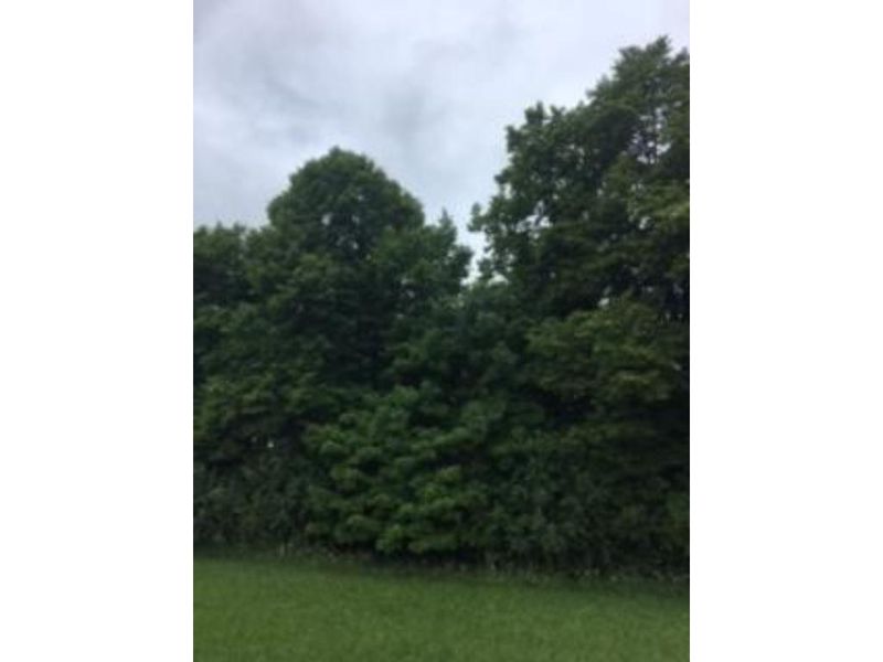 L4B2 Colbert Ave SW, Buffalo, MN 55313