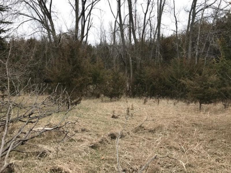 XXXX Deer Run Trl, Le Sueur, MN 56058