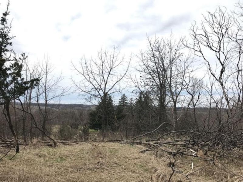 XXXX Deer Run Trl, Le Sueur, MN 56058
