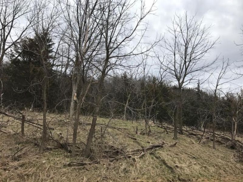 XXXX Deer Run Trl, Le Sueur, MN 56058
