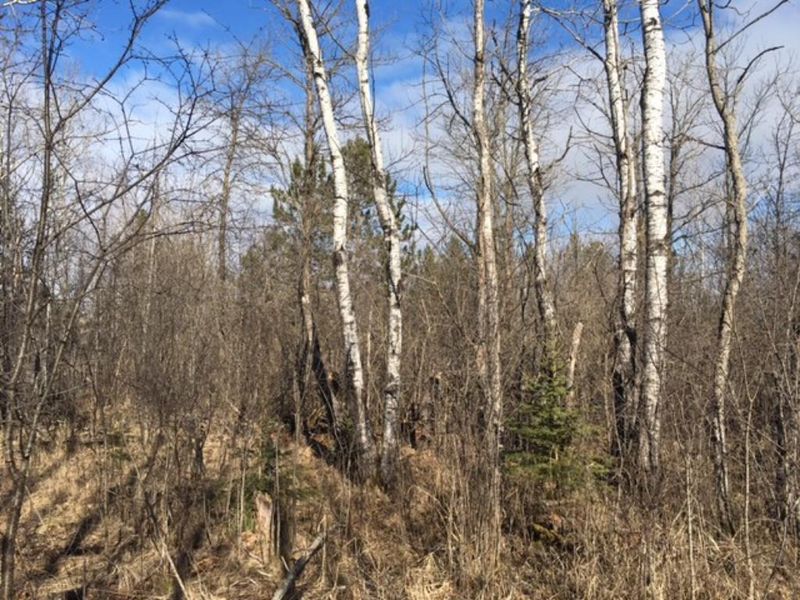 XYZ North Rd, Moose Lake, MN 55767