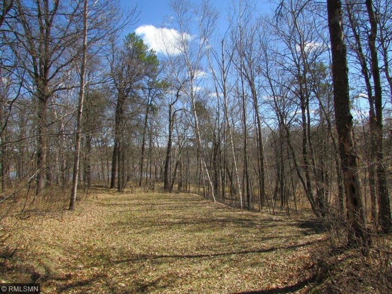 TBD Fox Jump Trl, Nevis, MN 56467