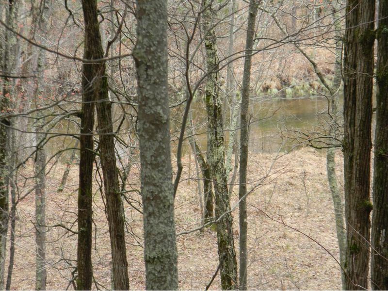 13880 E County Road Y, Gordon, WI 54838