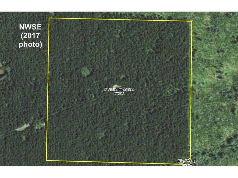 NESW-NWSE Bender Creek Rd, Nevis, MN 56467