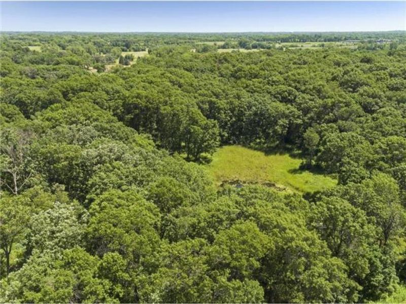 4 Cherrywood Ln, North Oaks, MN 55127