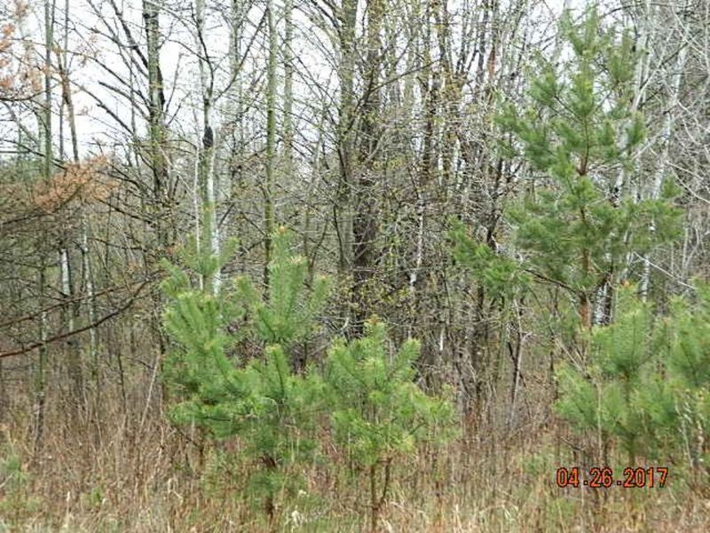 Lot 3 135th St, Frederic, WI 54837