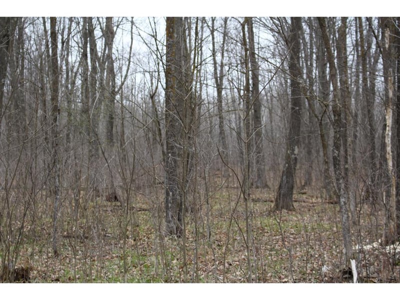 NA Xxx190th St, Bock, MN 56313
