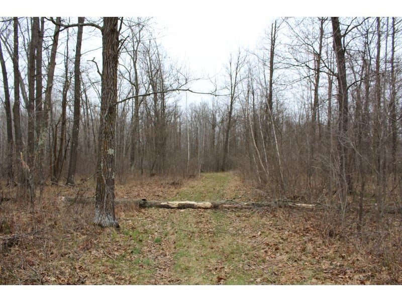 NA Xxx190th St, Bock, MN 56313