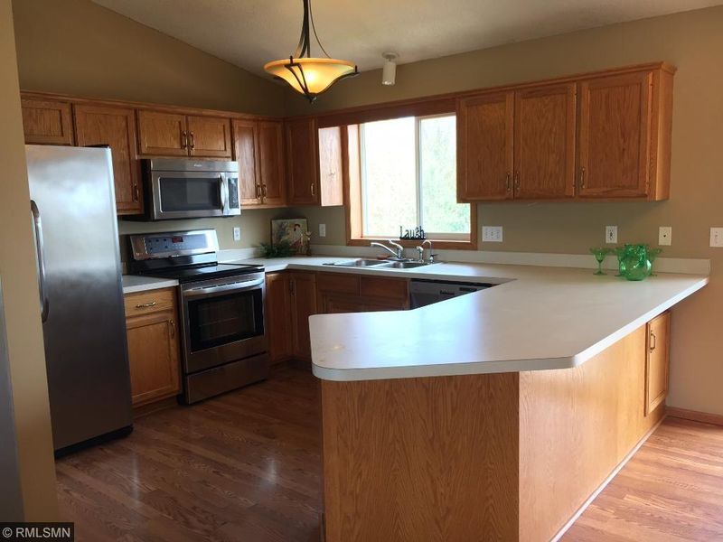 315 Thomas Ave, Shakopee, MN 55379