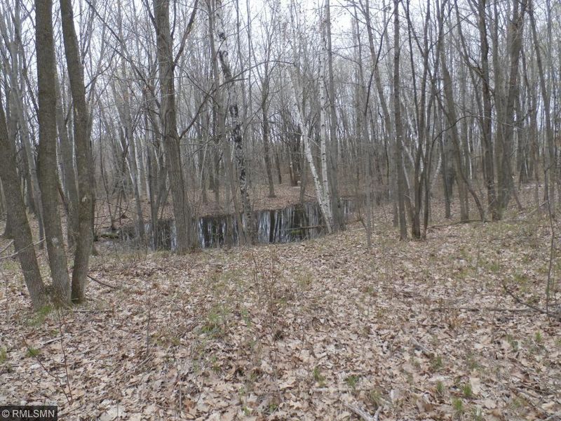8727 421st Ave NW, Milaca, MN 56353