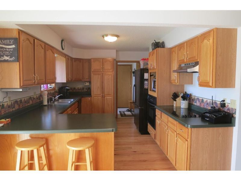 20272 247th Ave, Long Prairie, MN 56347