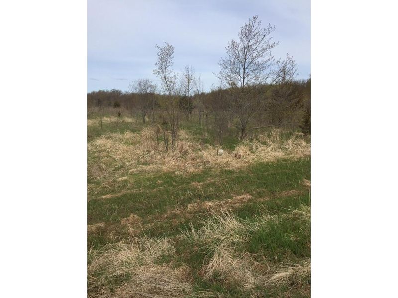 xxxx Braddock Ave NE, Buffalo, MN 55313
