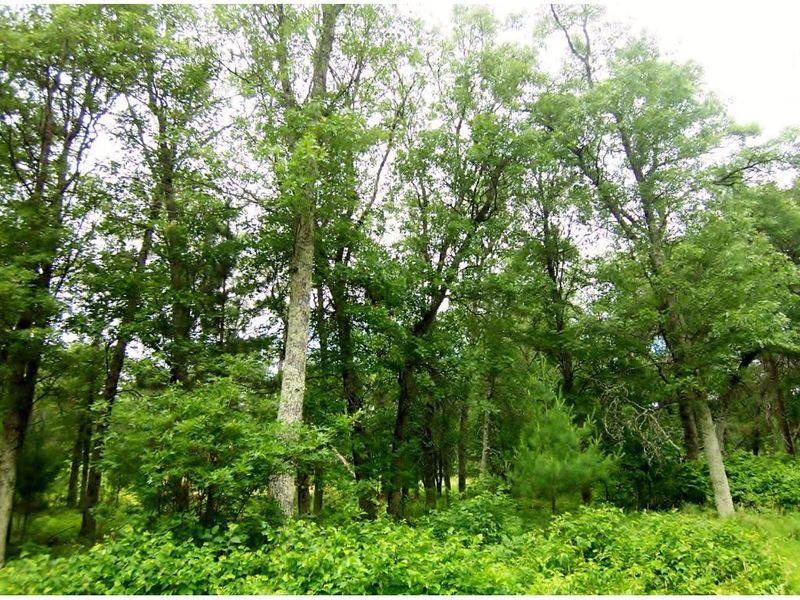 30073 Shaw Dr, Danbury, WI 54830