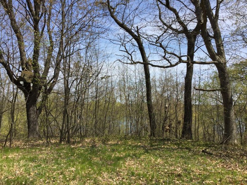 1649 155th Ave, Centuria, WI 54824