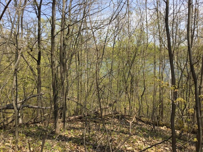 1649 155th Ave, Centuria, WI 54824