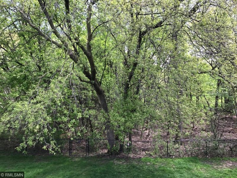 583 Eagle Ridge Rd, Woodbury, MN 55125