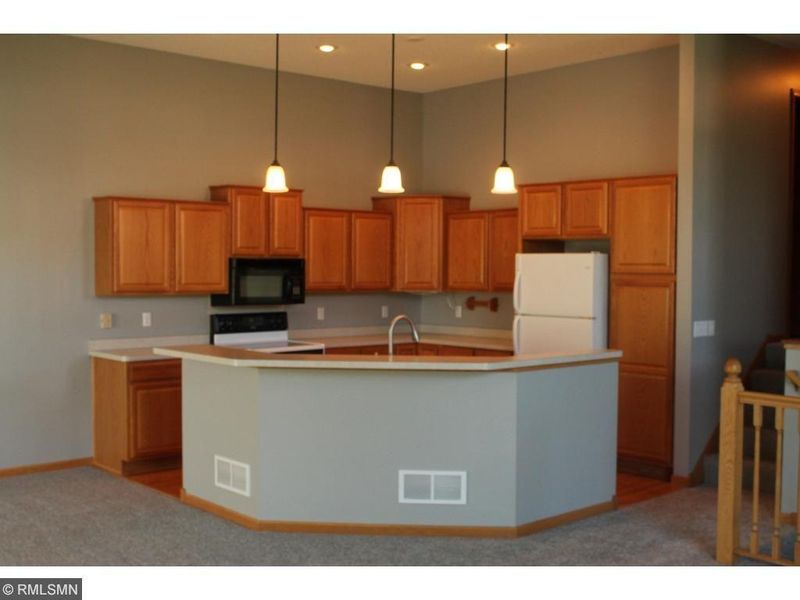 15717 Chasewood Ct, Rosemount, MN 55068