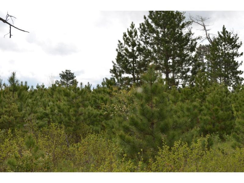 GL3-NESW County Road 109, Menahga, MN 56464