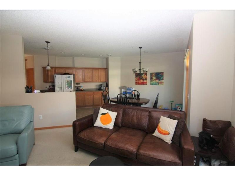 135 Stallion Ln, Circle Pines, MN 55014