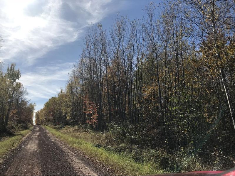 xx Bear Ln, Sandstone, MN 55072