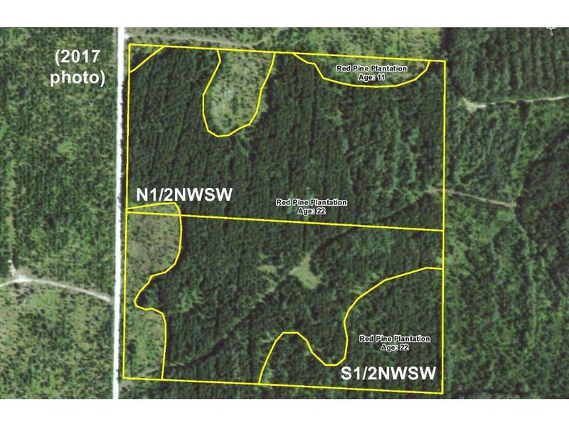 S2NWSW 239th Ave, Menahga, MN 56464