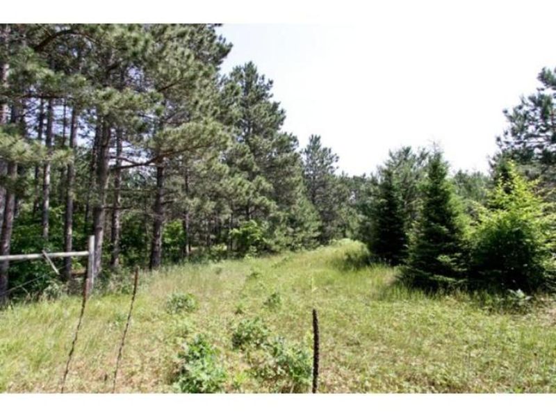 11821 Sunrise Rd, Harris, MN 55032