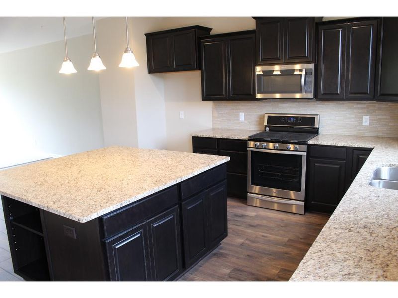 549 Satori Way, Chaska, MN 55318