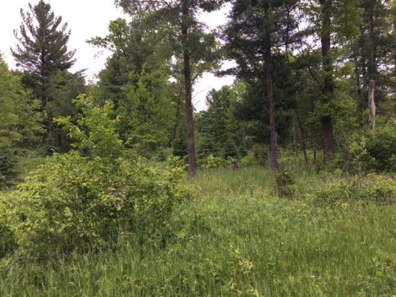 0 822nd Ave, Colfax, WI 54730