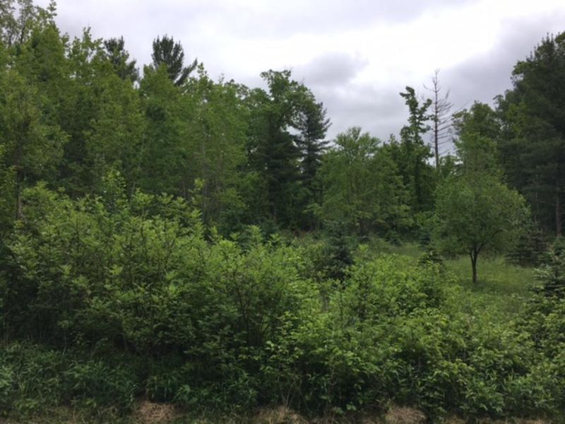 0 822nd Ave, Colfax, WI 54730