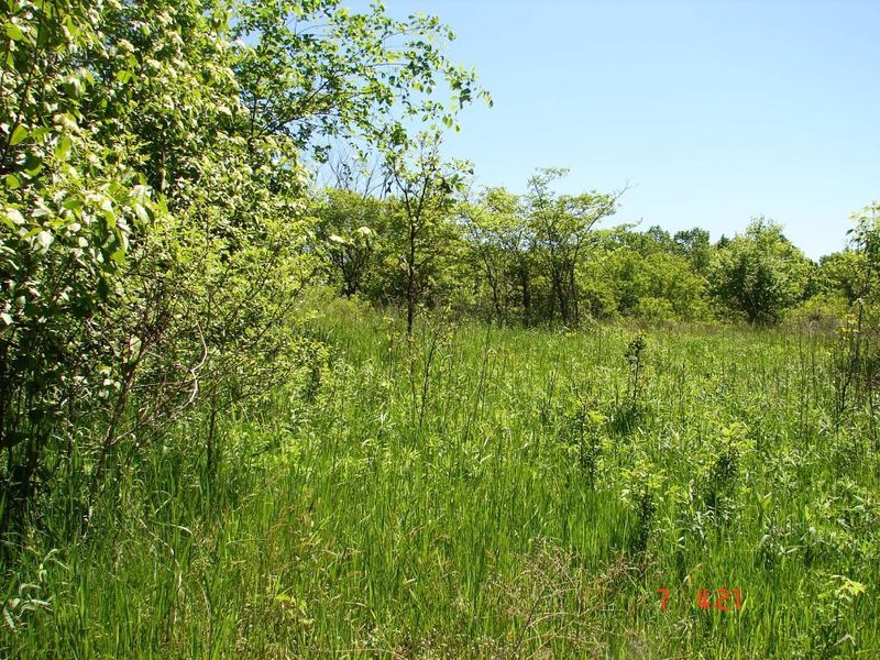 0 159th St, Balsam Lake, WI 54810