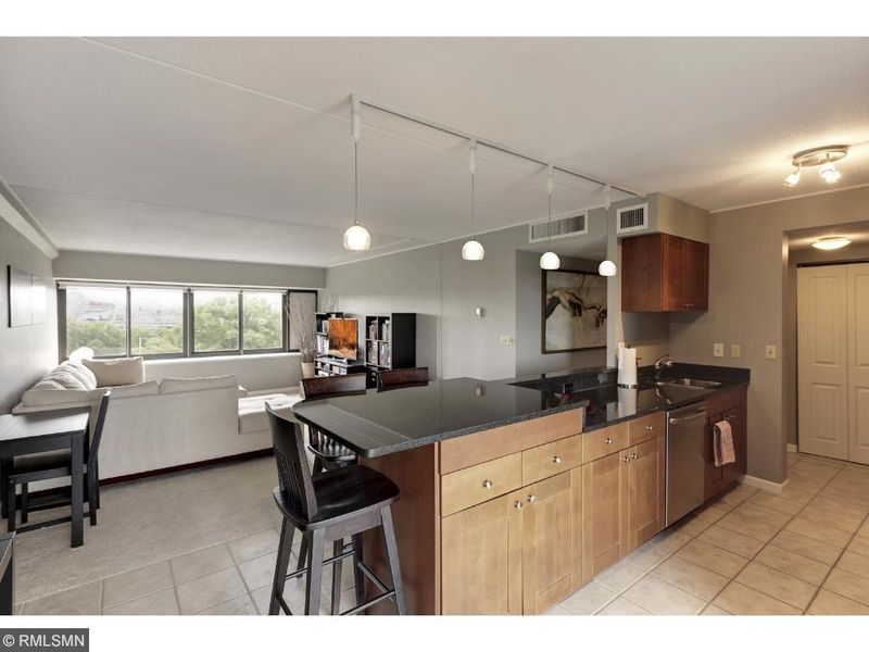 1920 S 1st St #409, Minneapolis, MN 55454