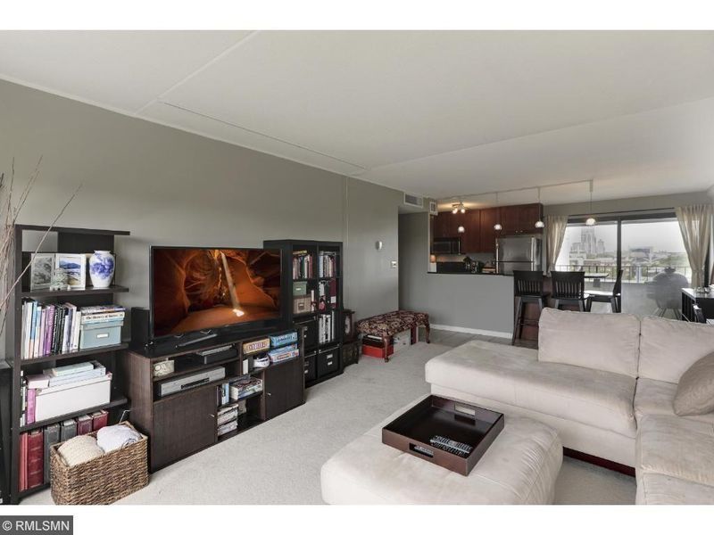 1920 S 1st St #409, Minneapolis, MN 55454