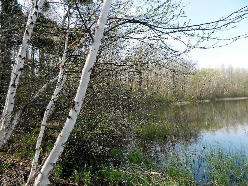00 Wayside, Iron River, WI 54847