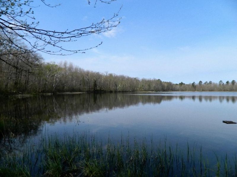 00 Wayside, Iron River, WI 54847