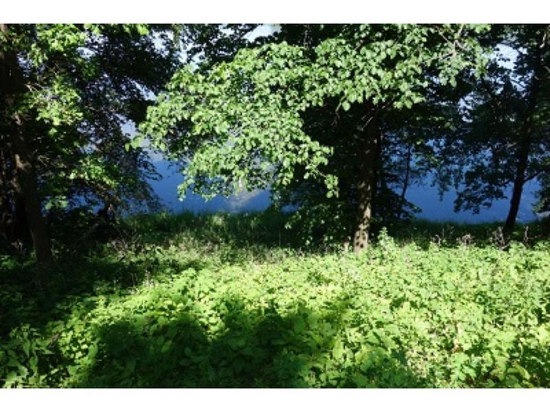 47854 Outback Ln, Elysian, MN 56028