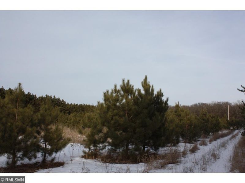 Lot 15 Tree Top Trl, Little Falls, MN 56345