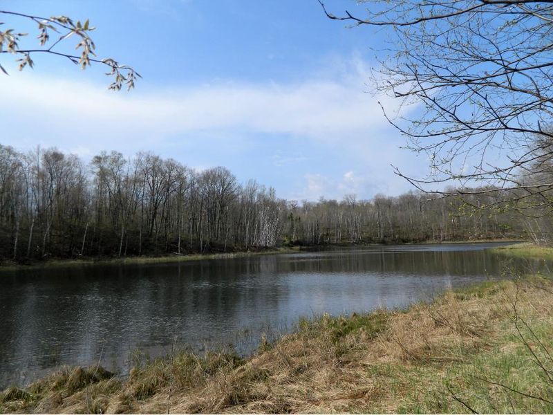 00 Wildwood Campground Rd, Iron River, WI 54847