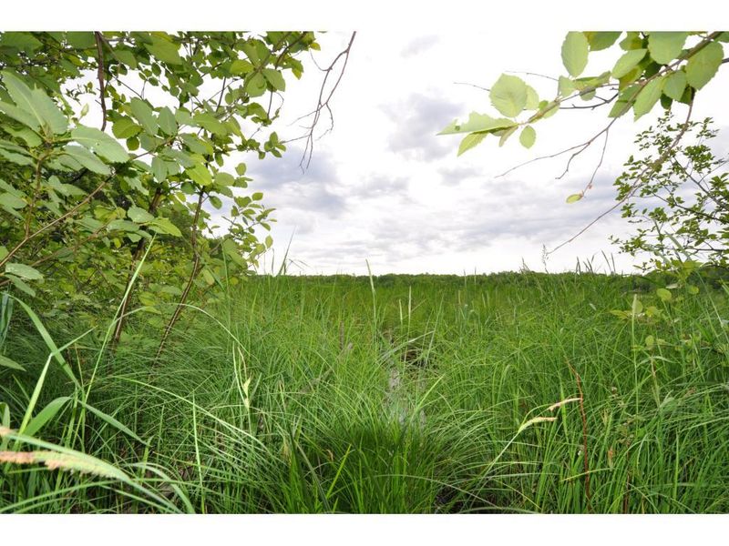 XXX County Road 3, Merrifield, MN 56465