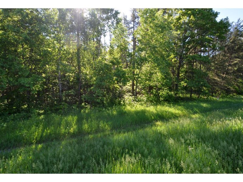 XXX County Road 3, Merrifield, MN 56465