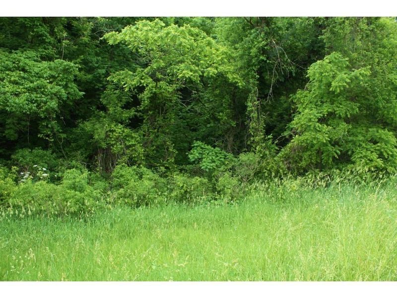 0000 351st Ave, Zumbro Falls, MN 55991