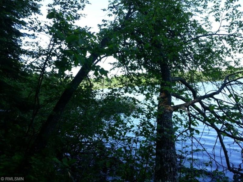 TBD Burns Lake Rd, Marcell, MN 56657
