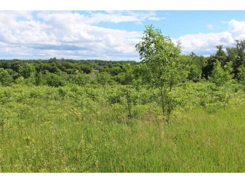XXX 97th St NE, Monticello, MN 55362