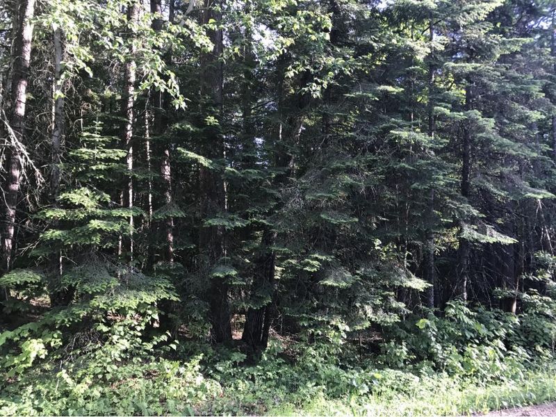 TBD Wilkey Loop, Bemidji, MN 56601