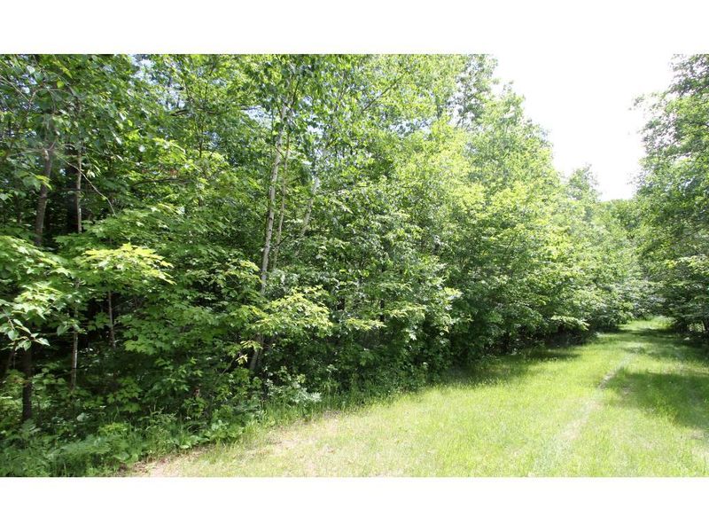 TBD SW Valley Rd, Motley, MN 56466
