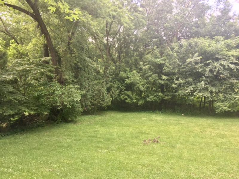 2277 Knoll Dr, Mounds View, MN 55112
