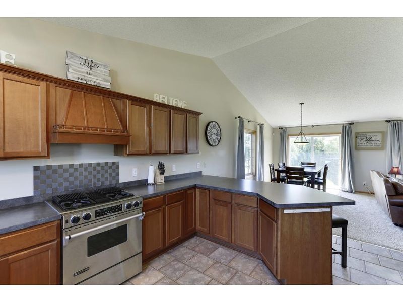 747 Brook Cir E, Montrose, MN 55363